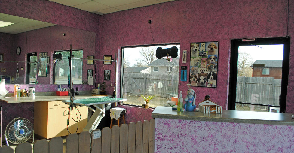 Michele's Paw Spa Store Front