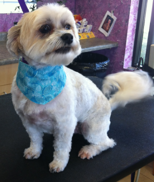Macy at Michele's Paw Spa Store Front