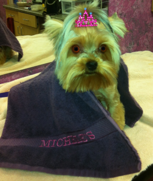 Princess at Michele's Paw Spa Store Front
